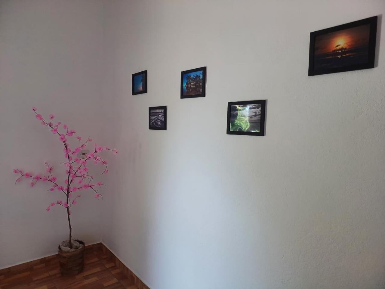 Casa Jubarte Villa Cumuruxatiba Dış mekan fotoğraf